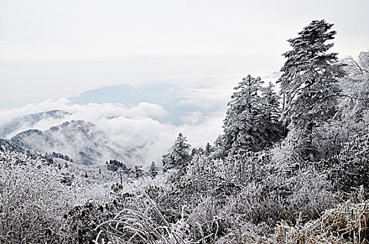 海南省南田旅游攻略(南田岛自驾游攻略)